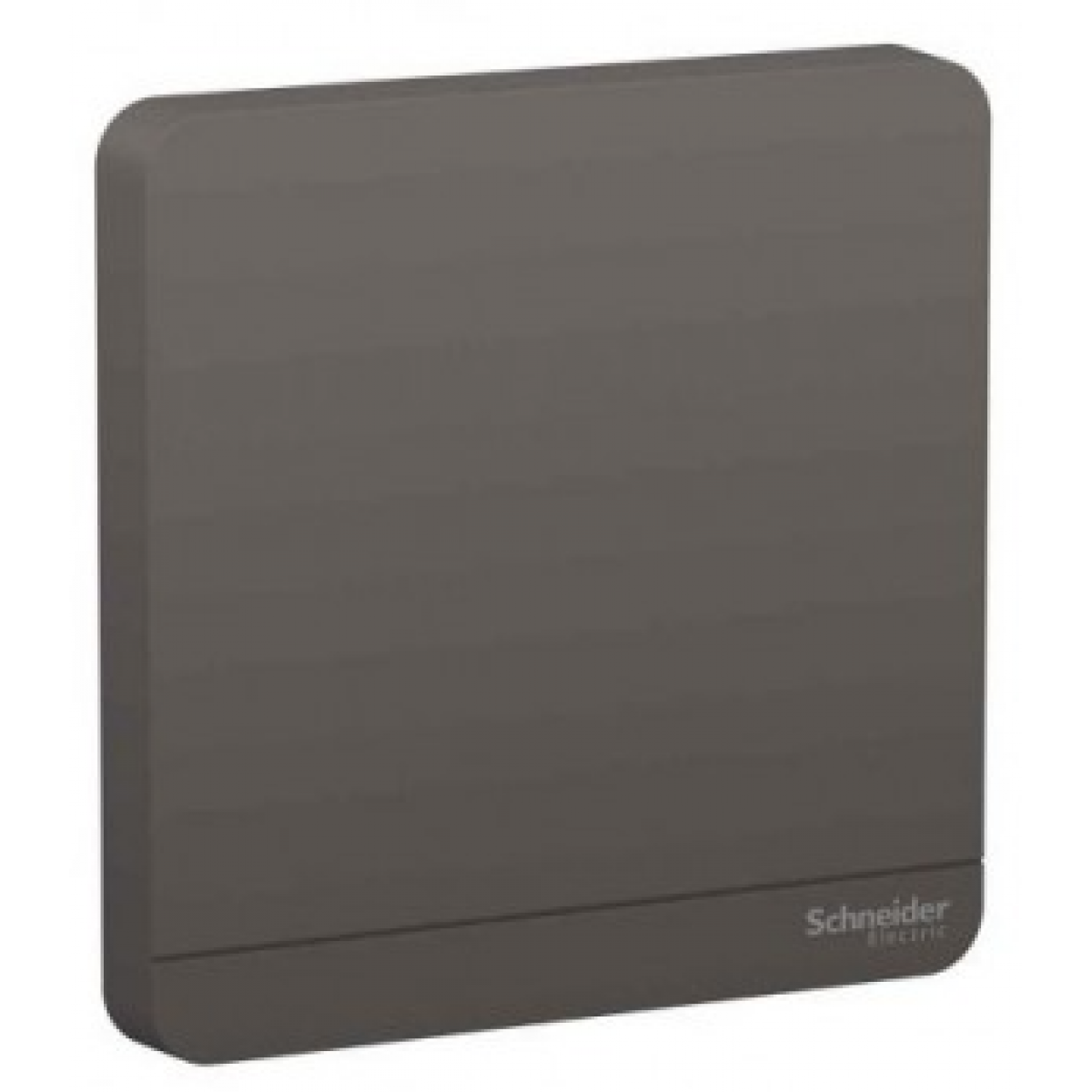 施耐德電氣 AvatarOn 單位空白掣面 (石墨灰) - 86x86mm，抗紫外線，聚碳酸酯材質